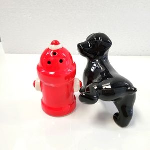 Salt & pepper shakers Pier 1